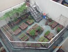 Eco Garden環保花園