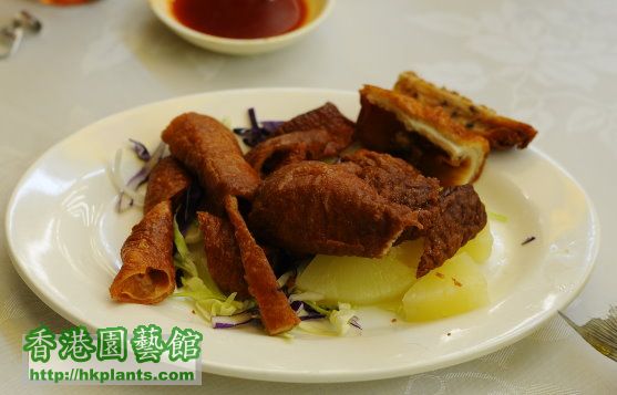 晚飯 打冷 三陂坊 炸大腸.jpg