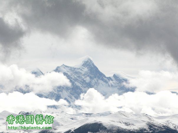 中國最美山峰－－南迦巴瓦峰.jpg