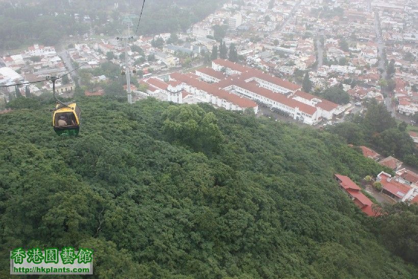 圖 07-薩爾塔市內的登山吊車.JPG