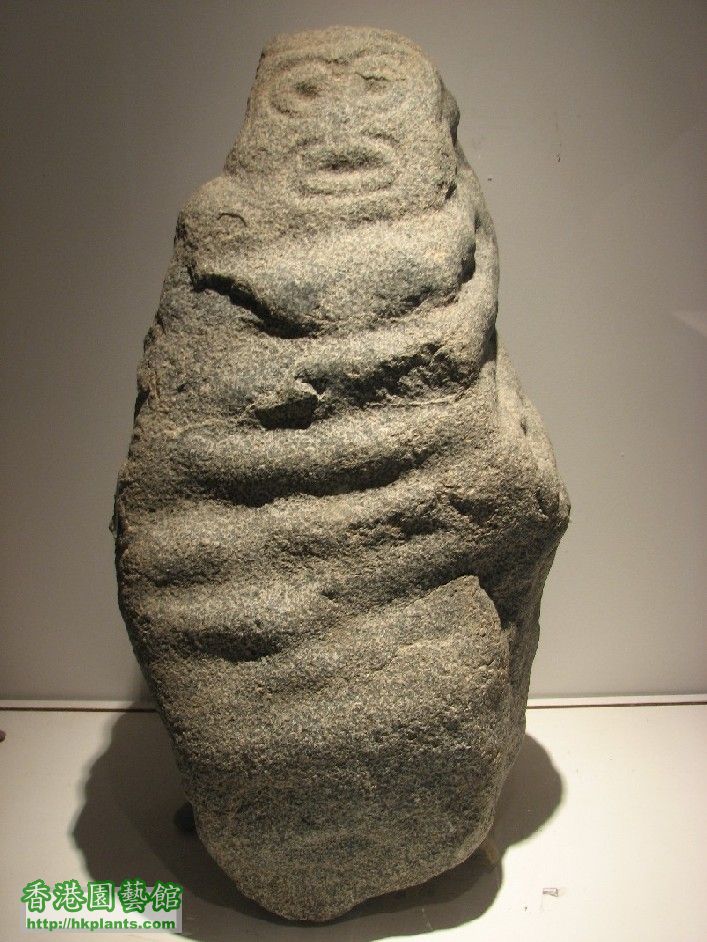 圖 20-卡奇印加博物館-古代石刻.JPG