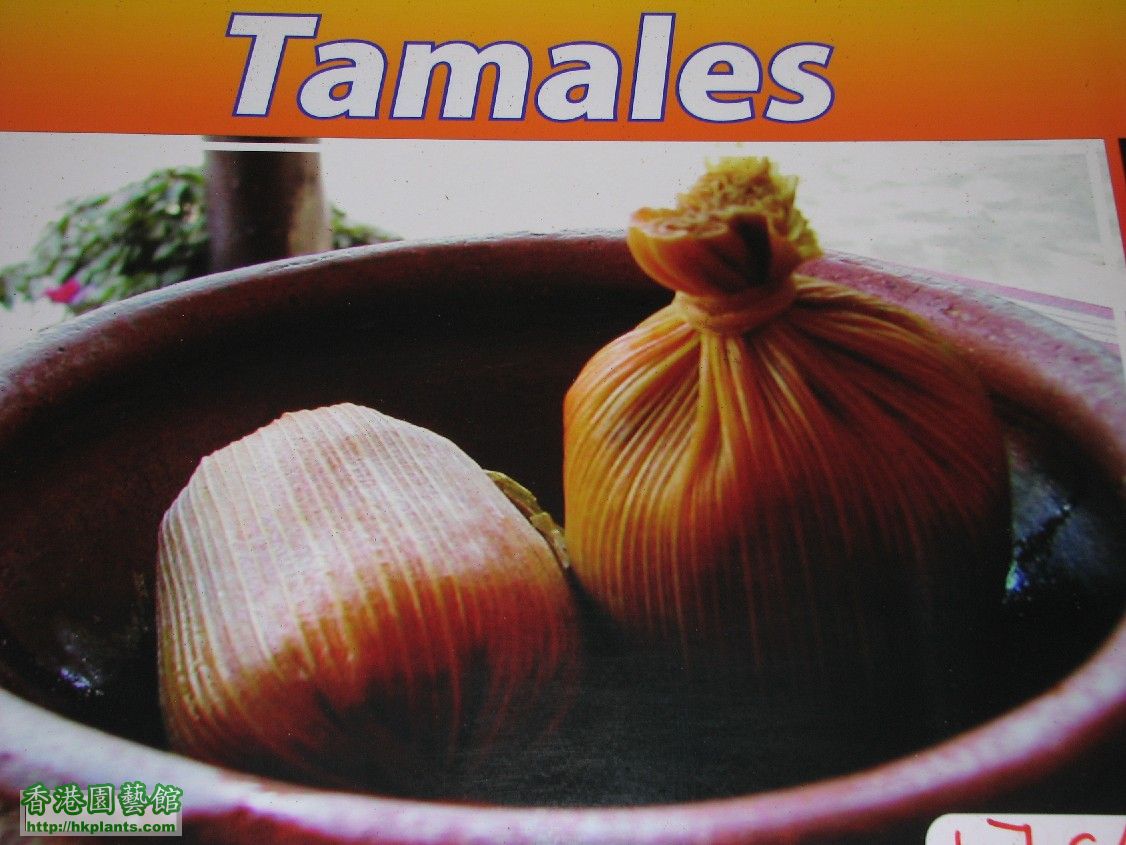 圖 39-Tamales.JPG