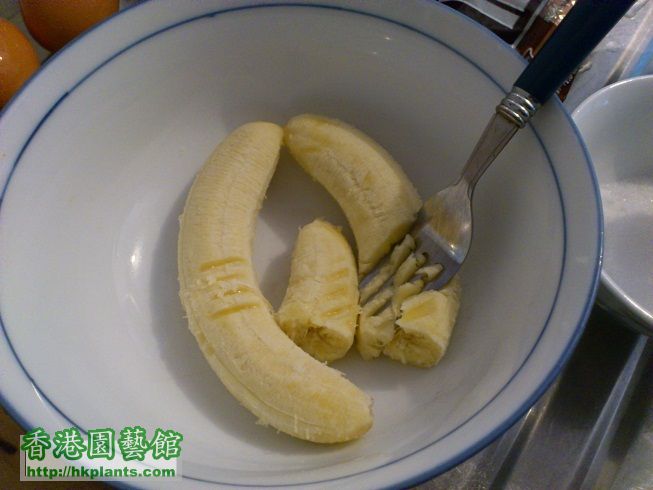 先將香蕉壓成蕉蓉