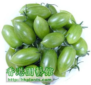 綠寶石2號 新奇特番茄品種.jpg