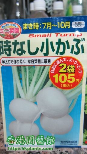turnip_low.JPG