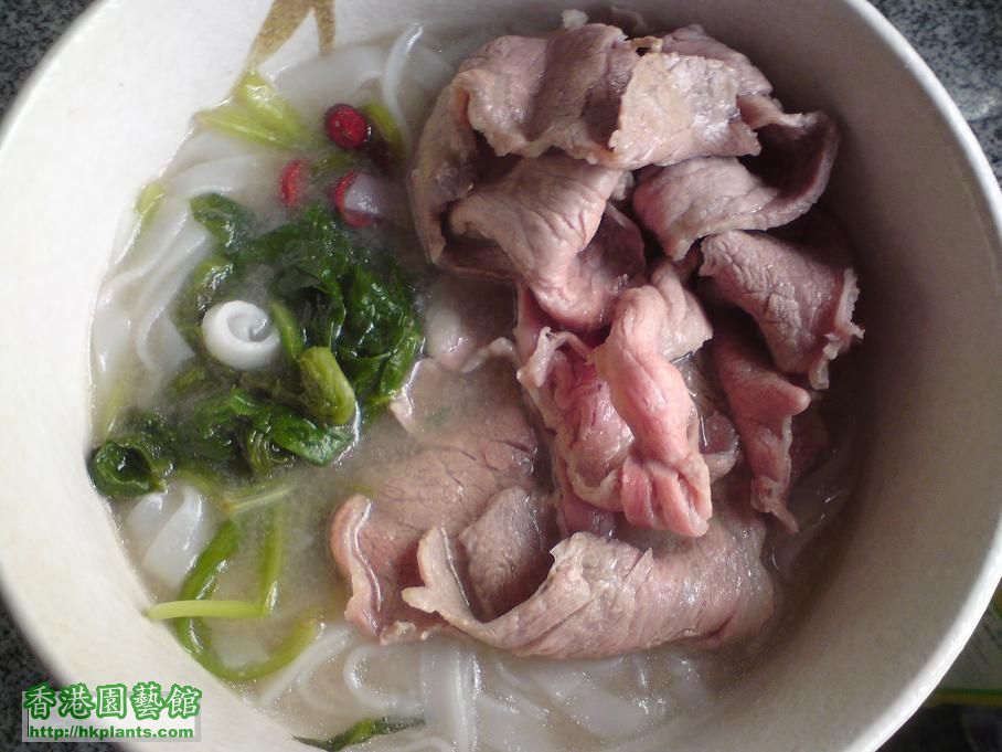 生牛肉河粉