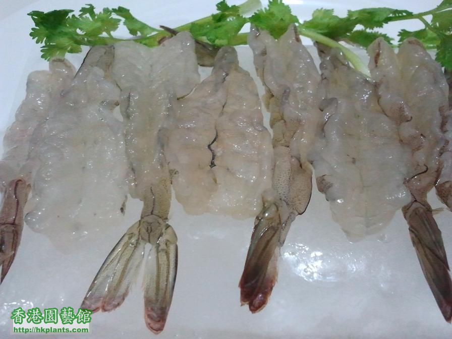 泰式生蝦