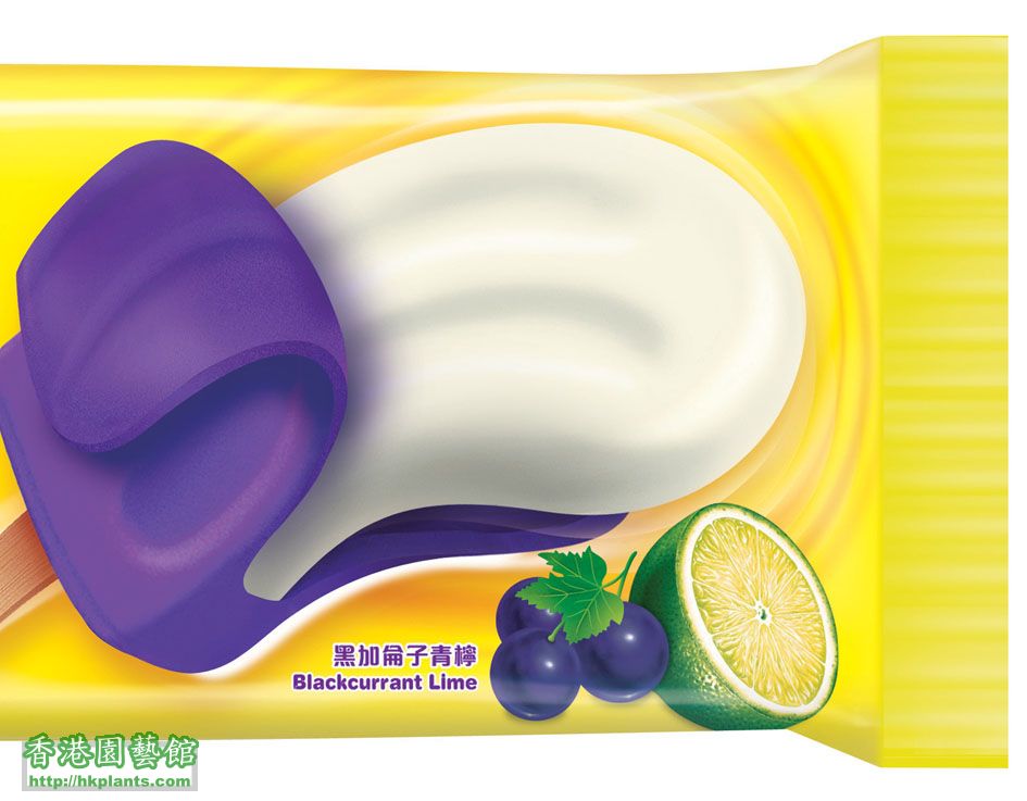 LamLam Blackcurrant Lime packshot.jpg