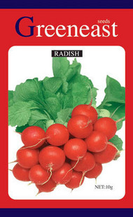 radish.jpg