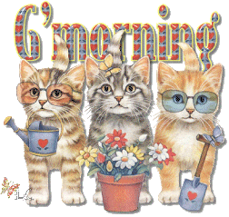 gmorning-cats-ag1.gif
