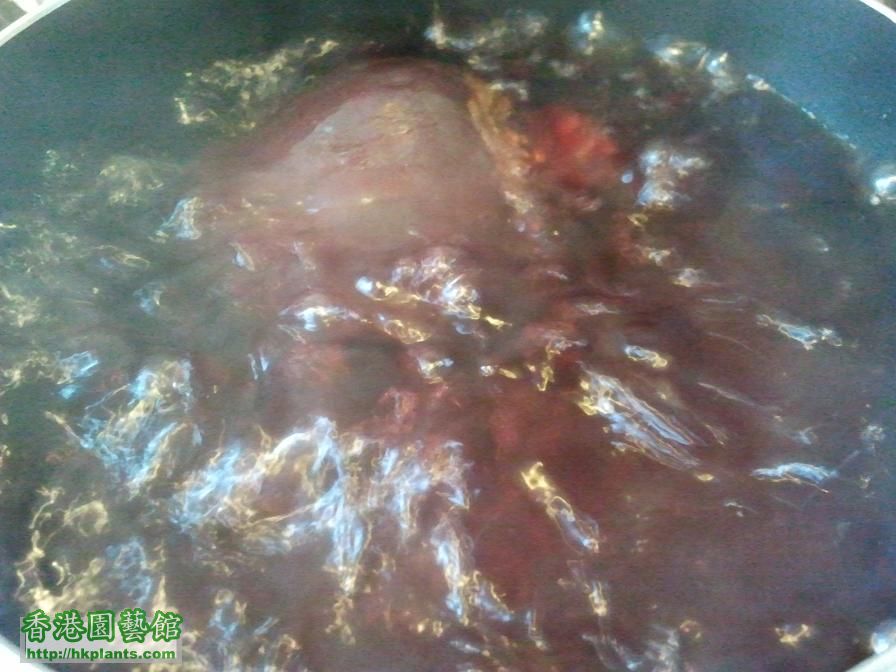 紅甜菜放入滾水內煮 1小時