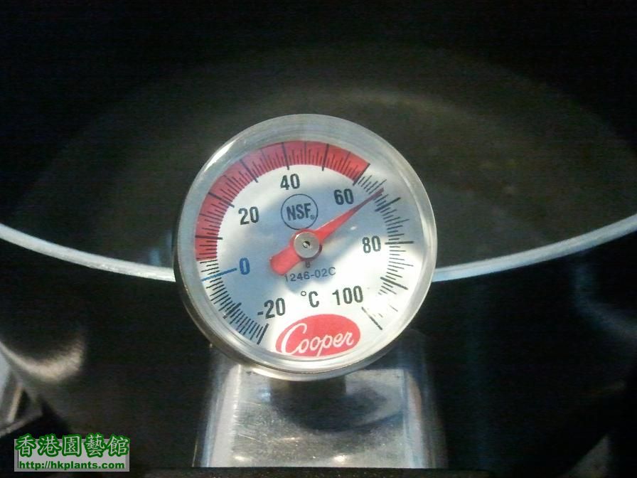 煮水至攝氏 65-70度