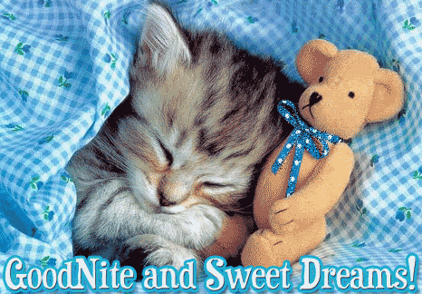 sweet-dreams-cat.gif