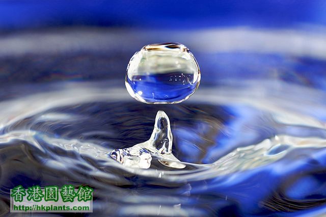 640px-Water_drop_001.jpg