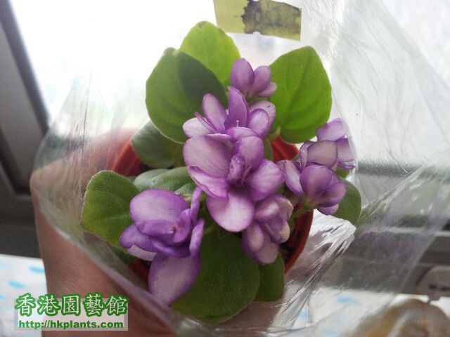 20120428_103141-picsay.jpg