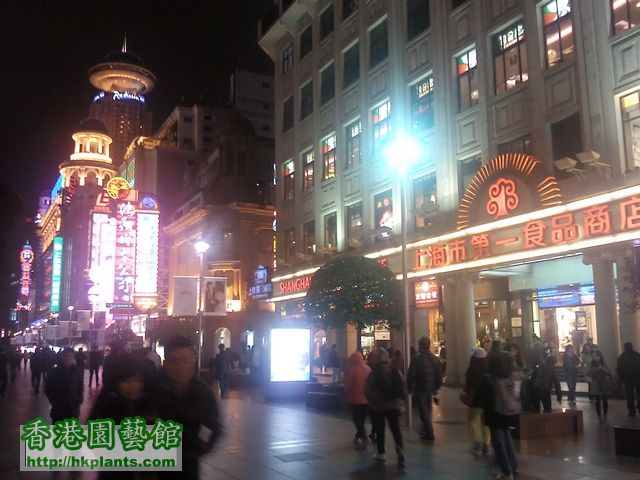 上海之夜1.jpg