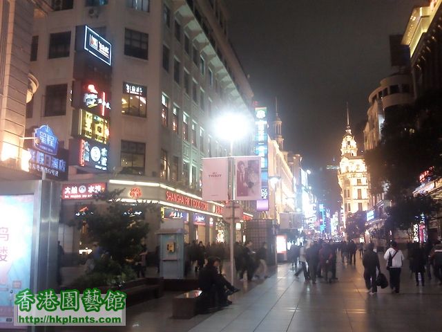 上海之夜2.jpg