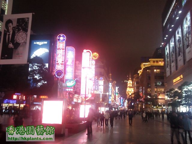 上海之夜3.jpg