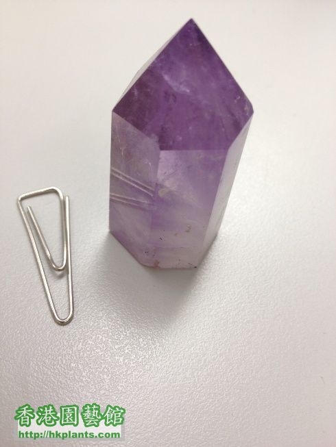 crystal_purple0240.JPG