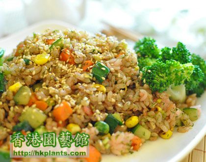 2054425019_3ed9758d_Chinese-Toon-Fried-Rices.jpg