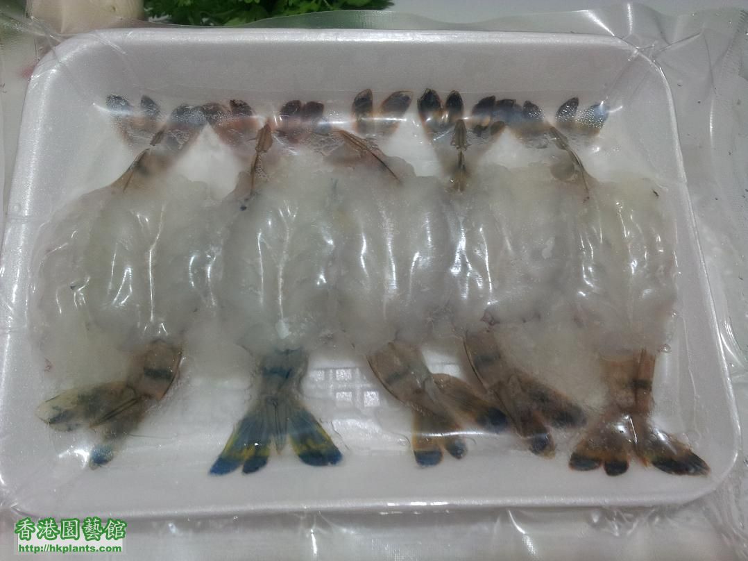 急凍越南草蝦