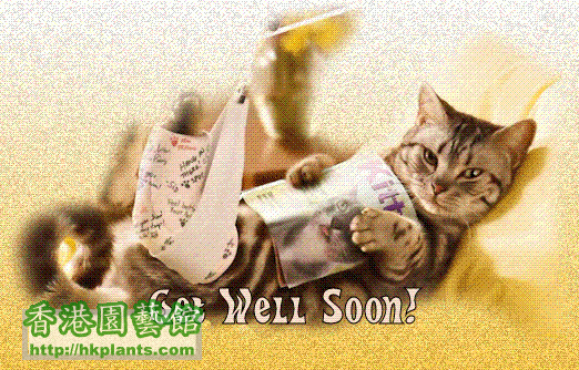 get well (Small).gif