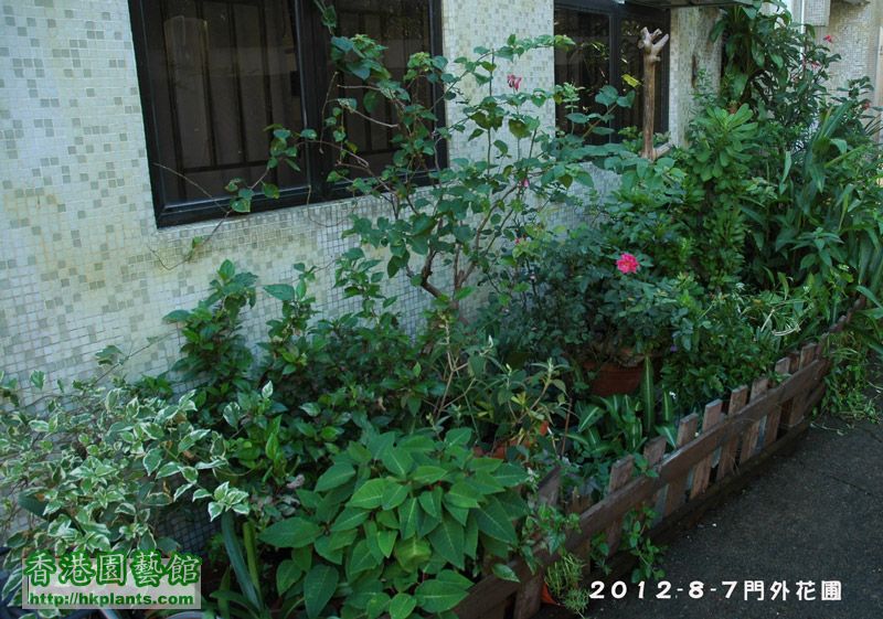 garden_2012-7-8-88.jpg
