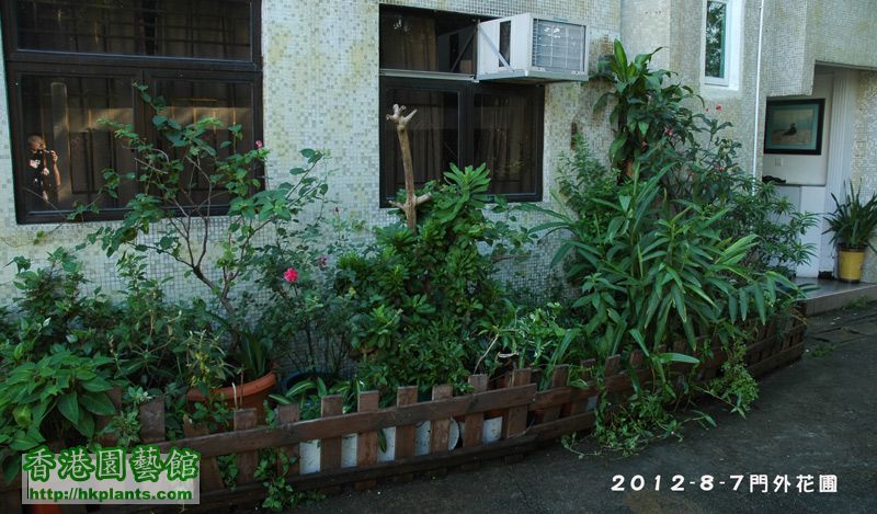garden_2012-7-8-89.jpg