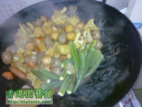 20110228494curry.jpg