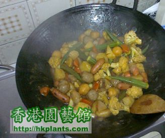 20110228496curry2.jpg