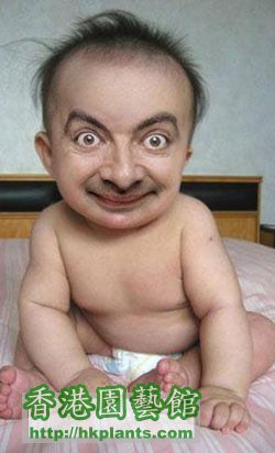 mr_bean_baby[1].jpg