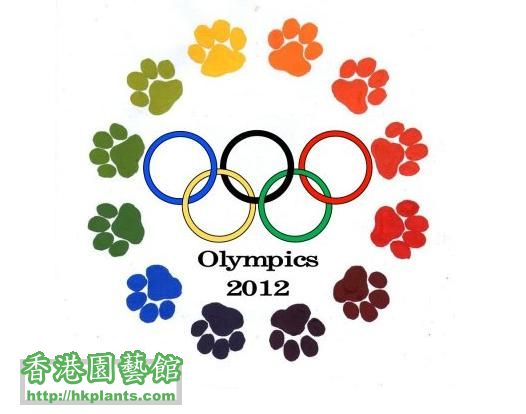 Olympics cat 2.jpg