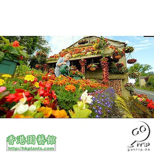 FLOWER HOUSE1.jpg