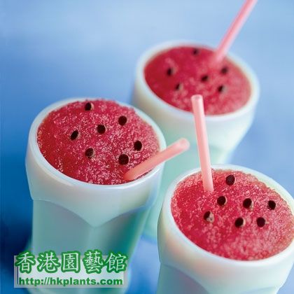 watermelon-sherbert-smoothies-recipe-photo-420-FF0699FRUITA09.jpg