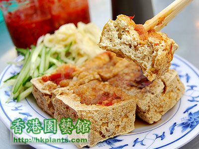 stinky tofu.jpeg