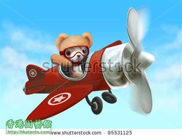 stock-photo-plush-teddy-bear-in-fantasy-airplane-in-clouds-95531125 (Small).jpg