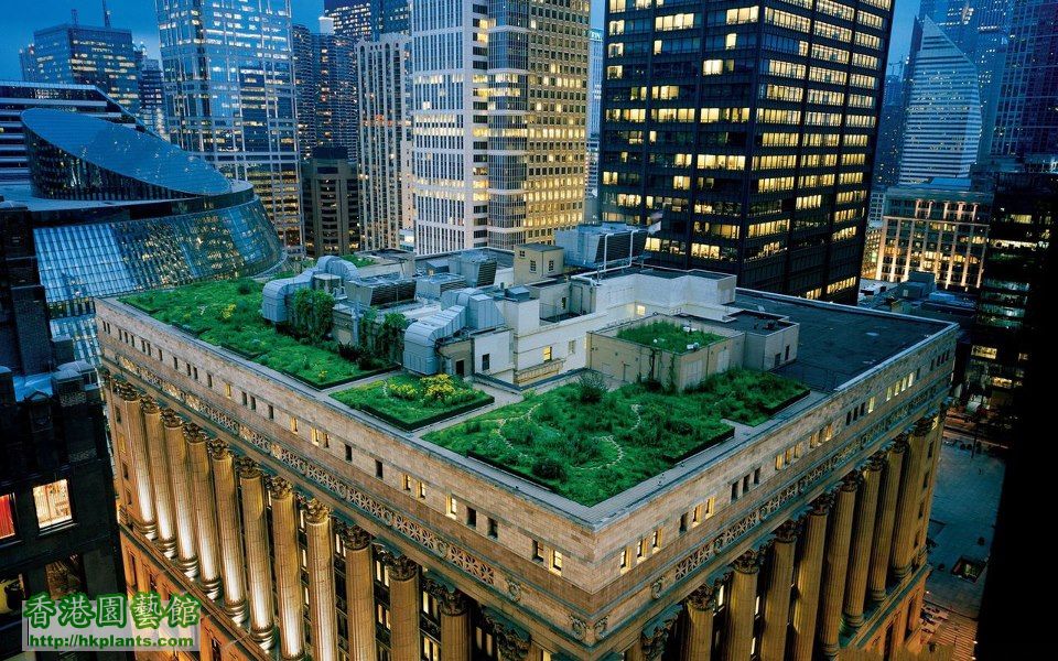 City Hall, Green Roof, Building, Chicago.jpg