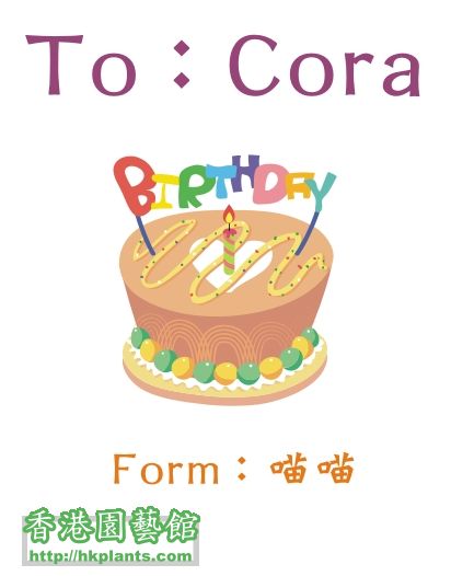 Happy Brithday To Cora.jpg