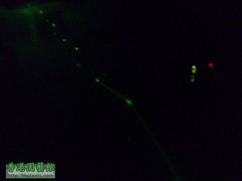 laser beam bouncing