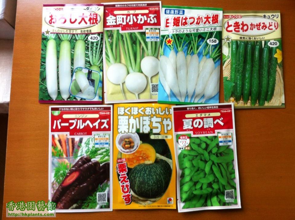 日本種子12022013.jpg