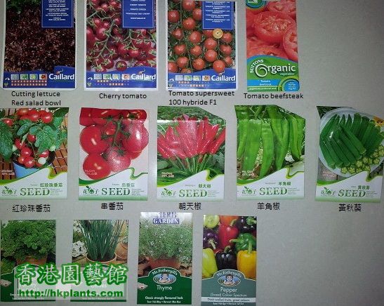 seeds selection.jpg