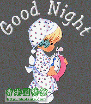 good-night-graphic-20[1].gif