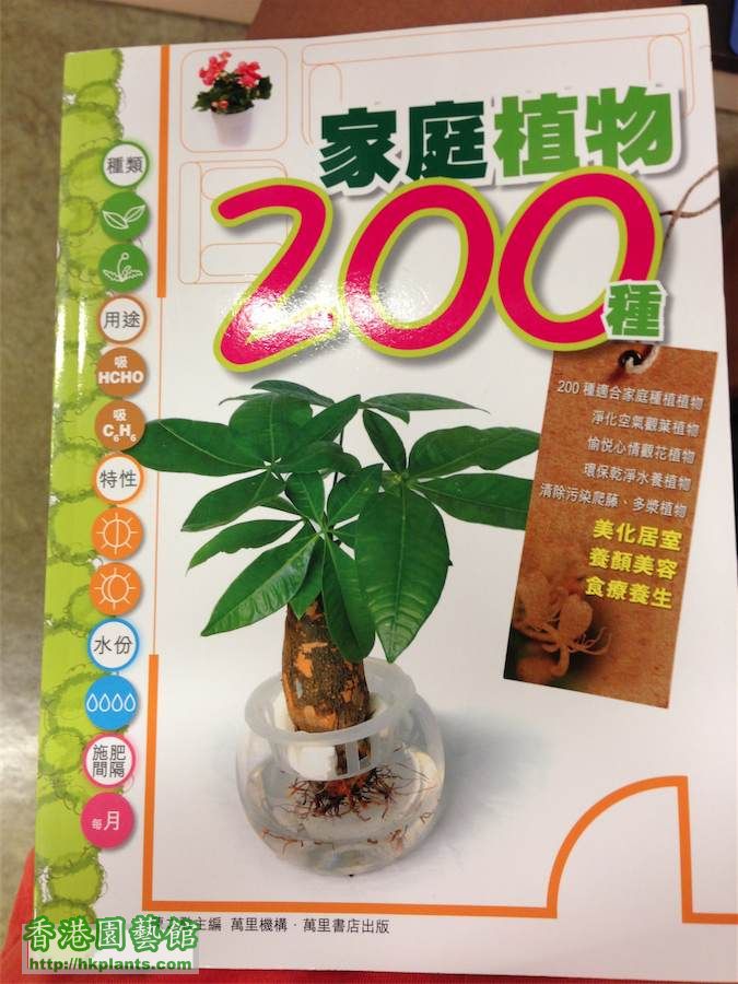 家庭植物200種
