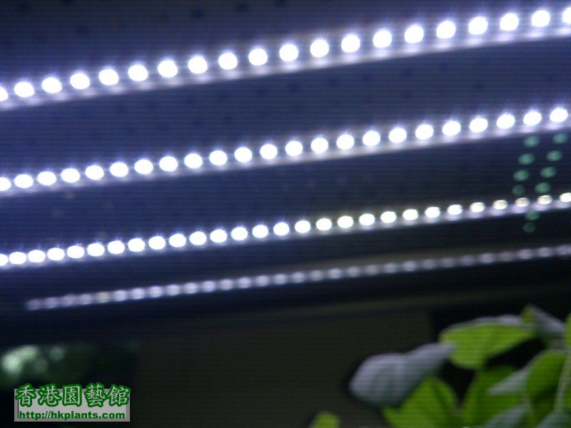 LED Array