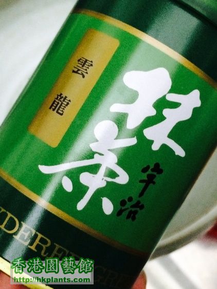tea照片_5.JPG
