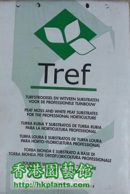 Tref.jpg