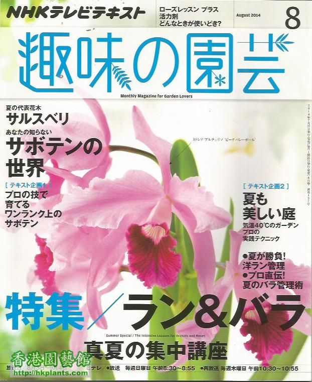 magazine1.jpg