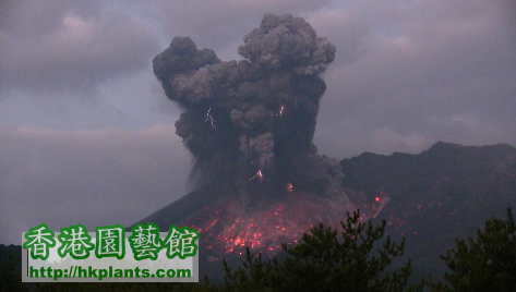 20150131-早上時間櫻島火山爆發同時出現閃電.png