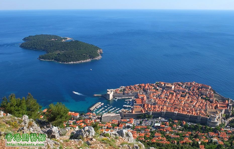 121Dubrovnik.jpg