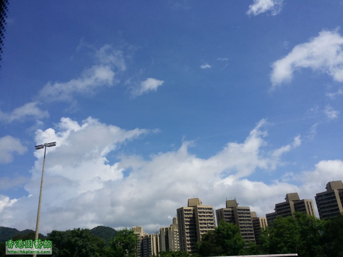 20150621_101219.jpg